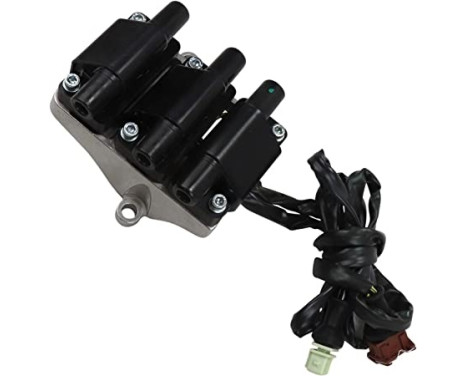 Ignition Coil ZSE007 Borgwarner Beru