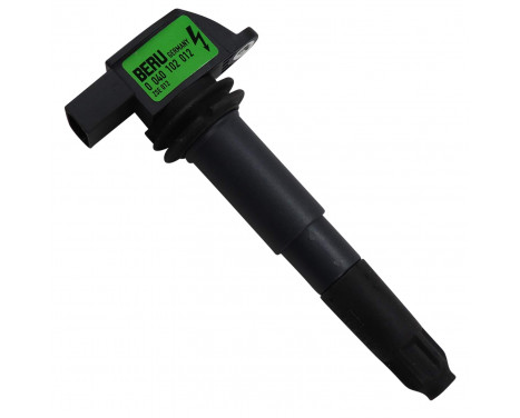Ignition Coil ZSE012 Borgwarner Beru