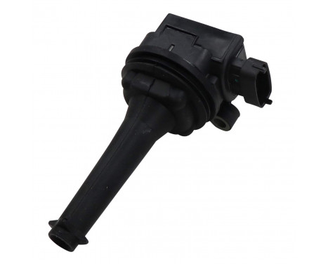 Ignition Coil ZSE019 Borgwarner Beru