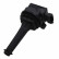 Ignition Coil ZSE019 Borgwarner Beru