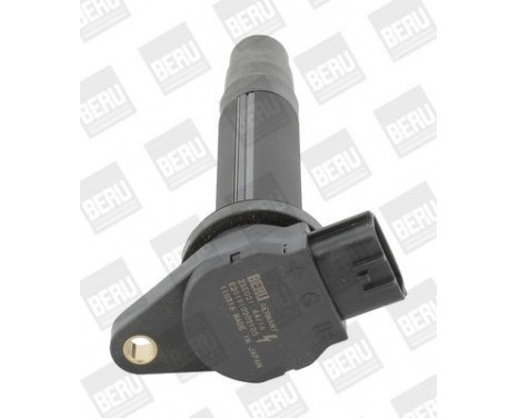 Ignition Coil ZSE021 Borgwarner Beru, Image 2