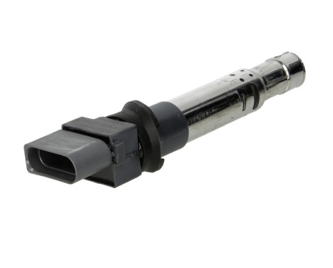 Ignition Coil ZSE041 Borgwarner Beru