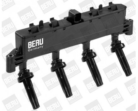 Ignition Coil ZSE048 Borgwarner Beru, Image 2