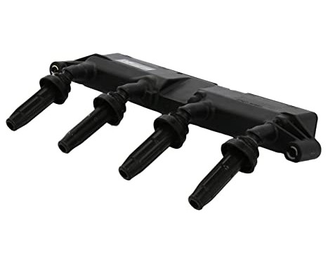 Ignition Coil ZSE048 Borgwarner Beru