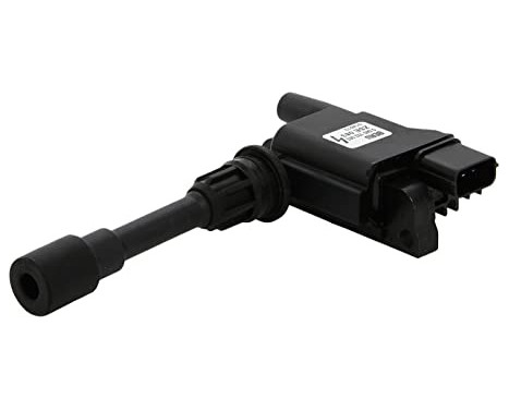 Ignition Coil ZSE083 Borgwarner Beru
