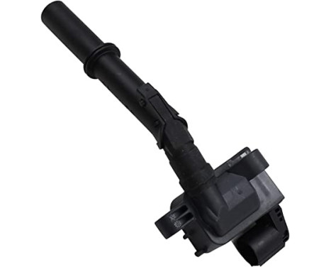 Ignition Coil ZSE093 Borgwarner Beru