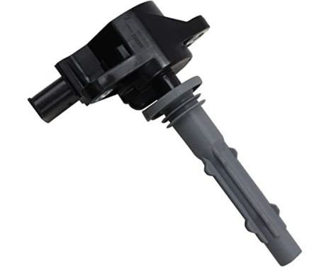 Ignition Coil ZSE140 Borgwarner Beru