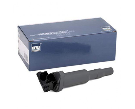 Ignition Coil ZSE144 Borgwarner Beru, Image 5