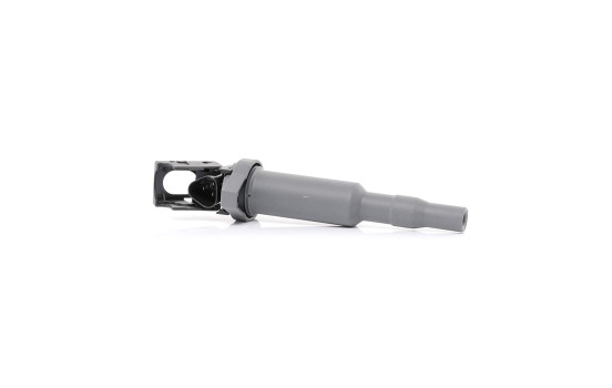 Ignition Coil ZSE144 Borgwarner Beru