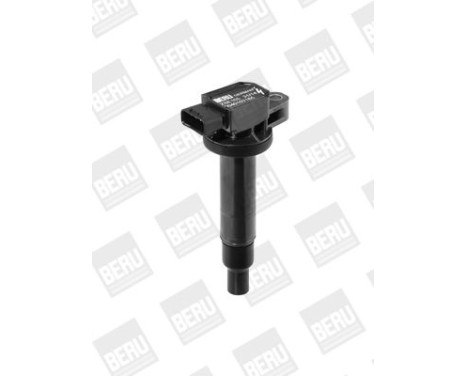 Ignition Coil ZSE165 Borgwarner Beru