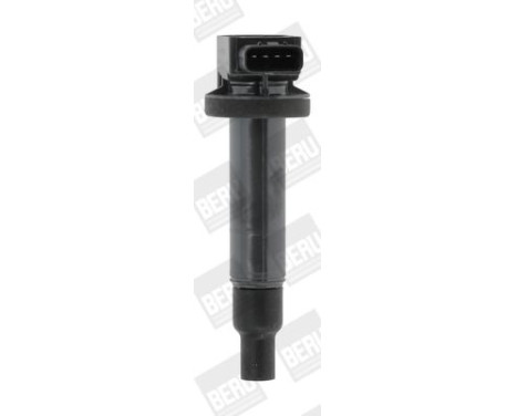 Ignition Coil ZSE165 Borgwarner Beru, Image 2