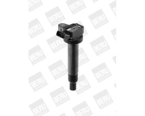 Ignition Coil ZSE172 Borgwarner Beru, Image 2