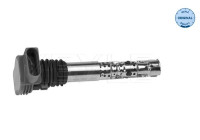 Coil 100 885 0007 Meyle