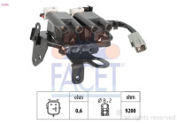 Coil 9.6556 Facet