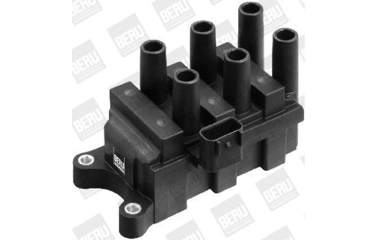 Coil ZS372 Borgwarner Beru, Image 2