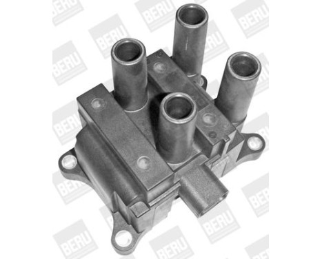 Coil ZS387 Borgwarner Beru, Image 5