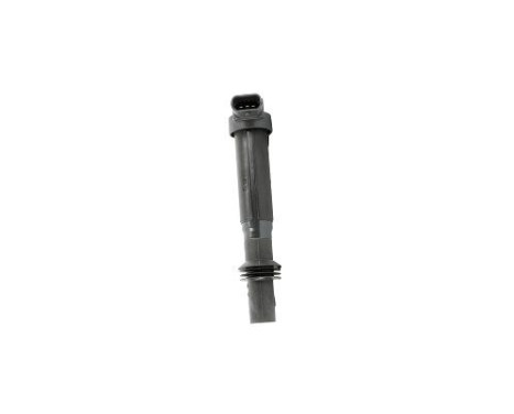 Coil ZS557 Borgwarner Beru, Image 3