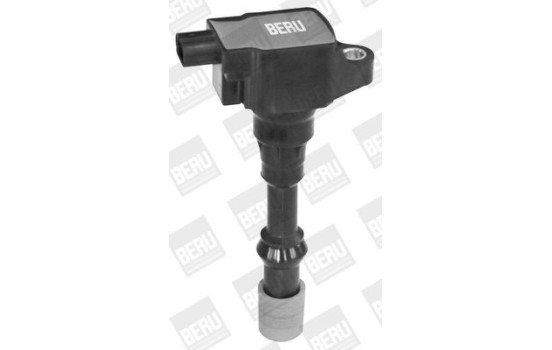 Coil ZSE175 Borgwarner Beru