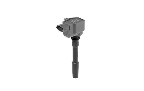 Coil ZSE226 Borgwarner Beru