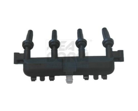 Ignition Coil 10324 Meat & Doria