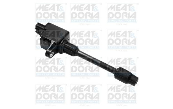 ignition coil 10517 Meat & Doria