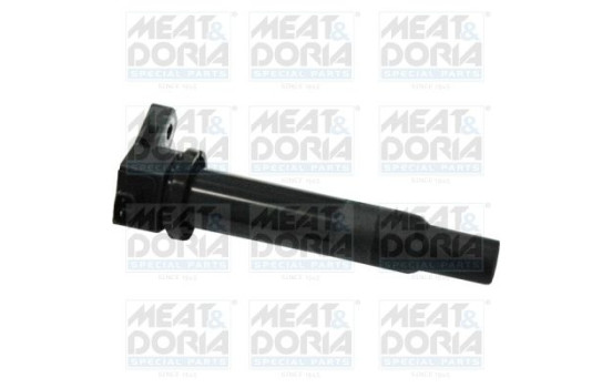 ignition coil 10601 Meat & Doria