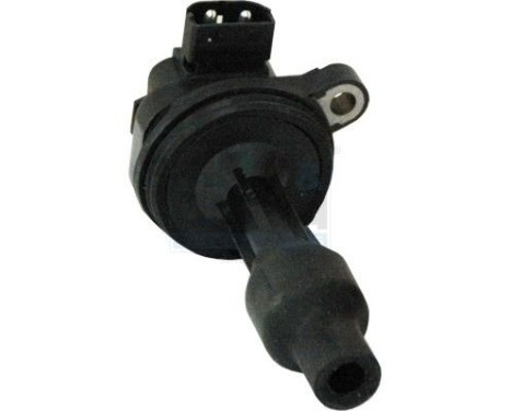 ignition coil 10679 Meat & Doria