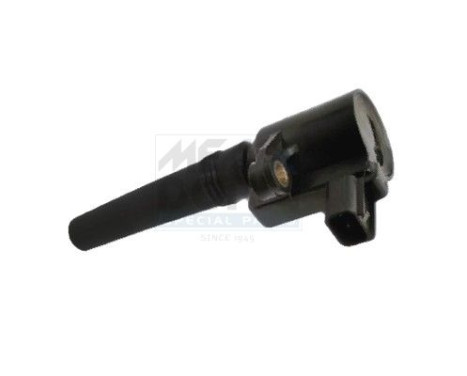 ignition coil 10714 Meat & Doria