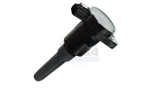 ignition coil 10732 Meat & Doria