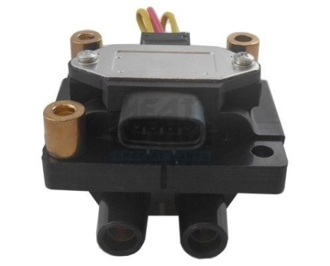 ignition coil 10790 Meat & Doria