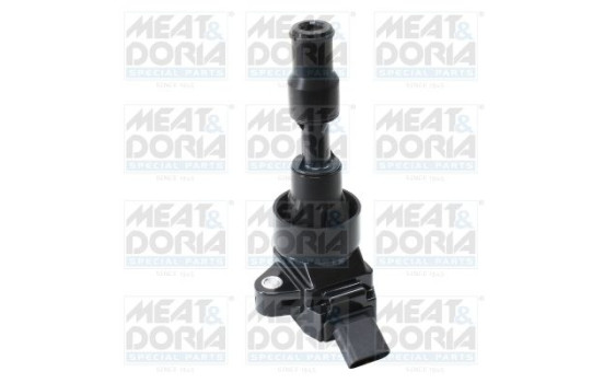 Ignition Coil 10815 Meat & Doria