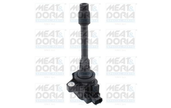 ignition coil 10834 Meat & Doria