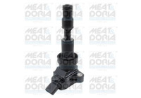 ignition coil 10846 Meat & Doria