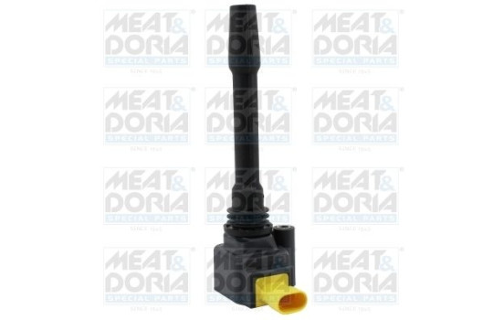 ignition coil 10873 Meat & Doria