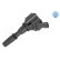 Ignition coil 214 885 0025 Meyle