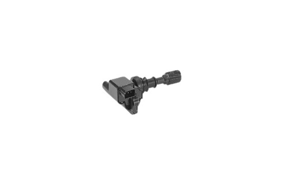 Ignition Coil 245198 Valeo