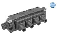 ignition coil 314 885 0011 Meyle