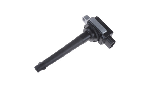 Ignition Coil ADN11479C Blue Print