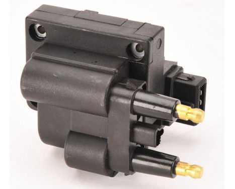 Ignition Coil BAEQ073 Magneti Marelli