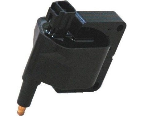 Ignition coil BAEQ079 Magneti Marelli