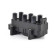 ignition coil BSG 65-835-008