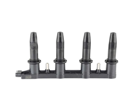 ignition coil BSG 65-835-013