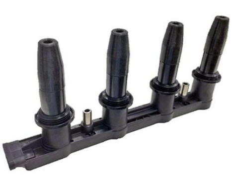 Ignition Coil CE01841-12B1A Delphi