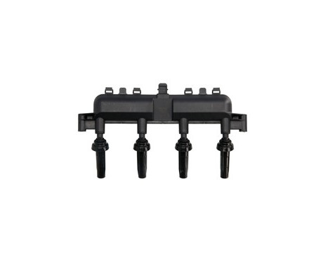 Ignition Coil CE20010-12B1 Delphi