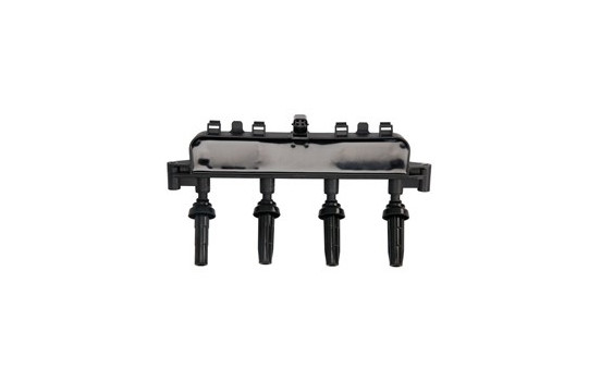 Ignition Coil CE20010-12B1 Delphi, Image 2