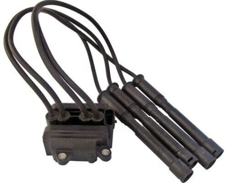 Ignition Coil CE20018-12B1 Delphi