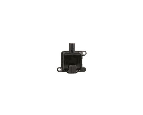 Ignition Coil CE20036-12B1 Delphi, Image 2