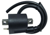 ignition coil CPS25 WAI