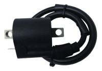 ignition coil CPS29 WAI