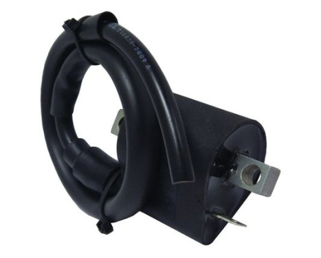 ignition coil CPS29 WAI, Image 2
